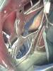 gal/Projektit/Frisco_kadett_91/2005_03_05/_thb_image0130.jpg