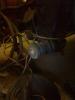 gal/Projektit/GSI_16V_89/071228/_thb_28122007.jpg