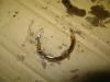 gal/Projektit/Omega_v6_96/11_2010_laatikko/_thb_IMG_1010.JPG